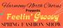 Feelin' Groovy Spring Fashion Show - Harmony North Chorus